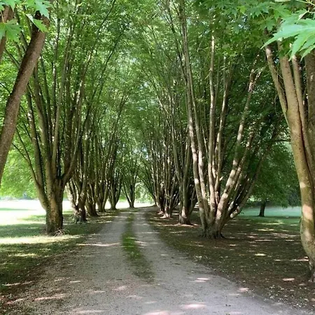 Chic, Climatisation Et Piscine Apartmán Ormoy-la-Riviere